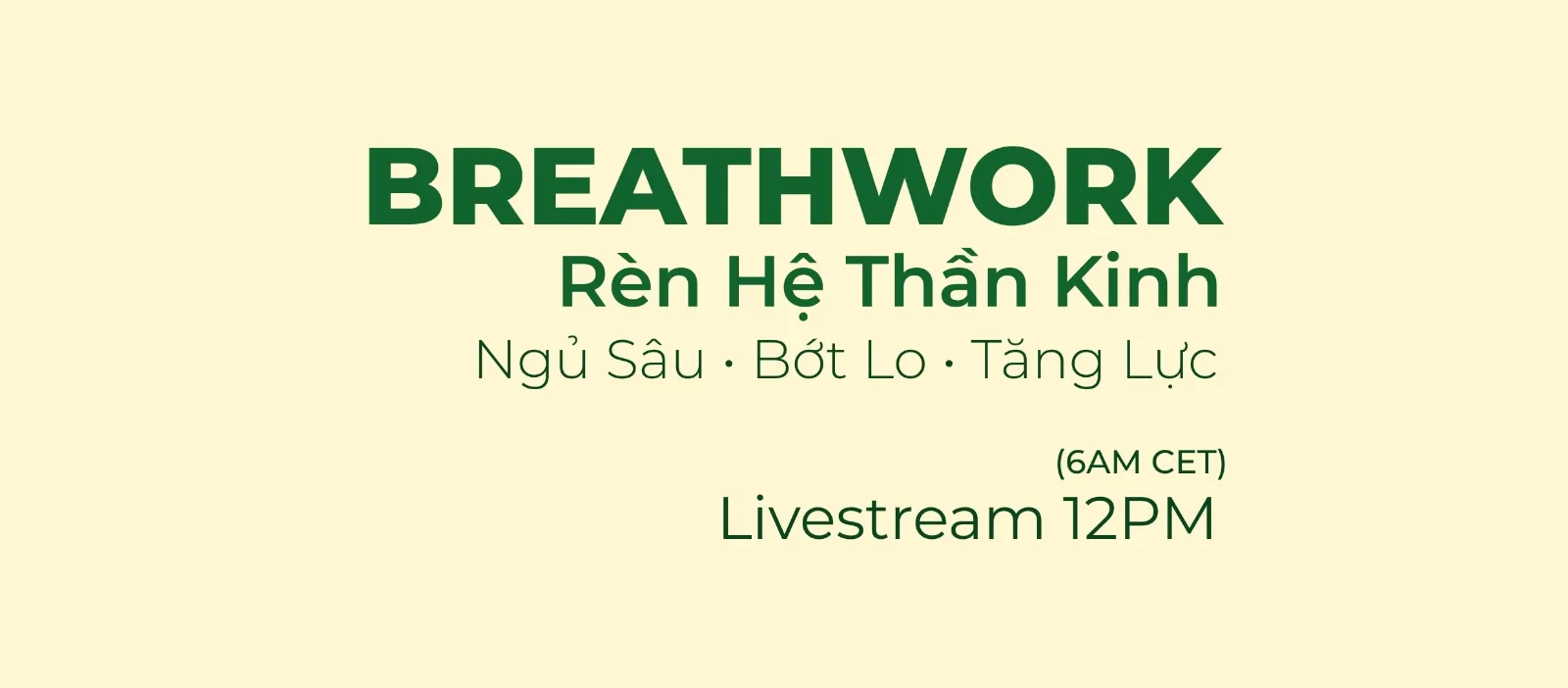 BỤNG Healing 5