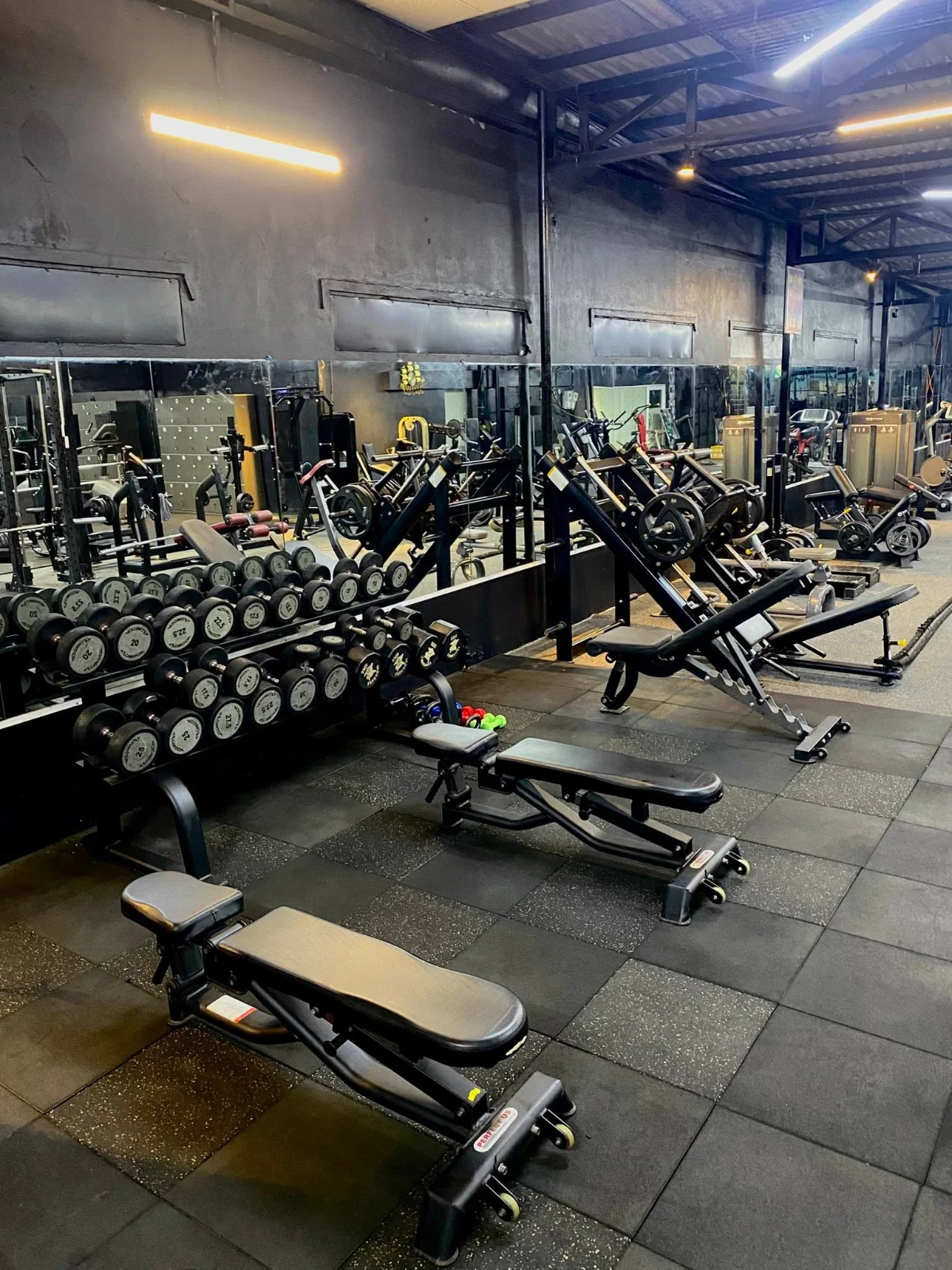 THE STRONG GYM 8