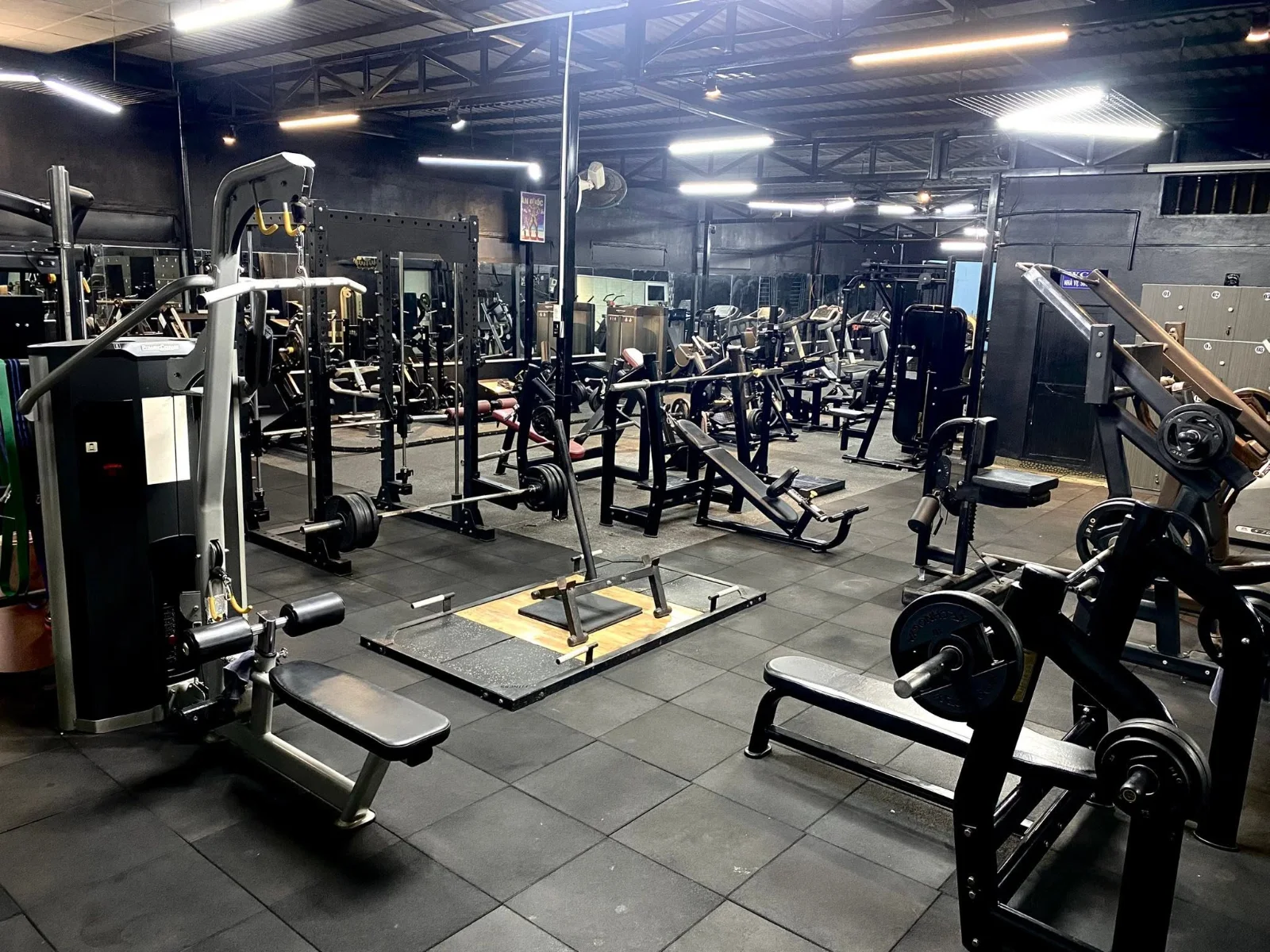 THE STRONG GYM 7