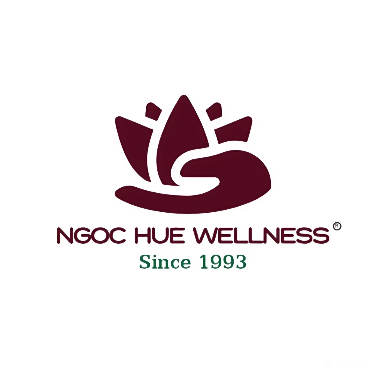 Ngoc Hue Wellness