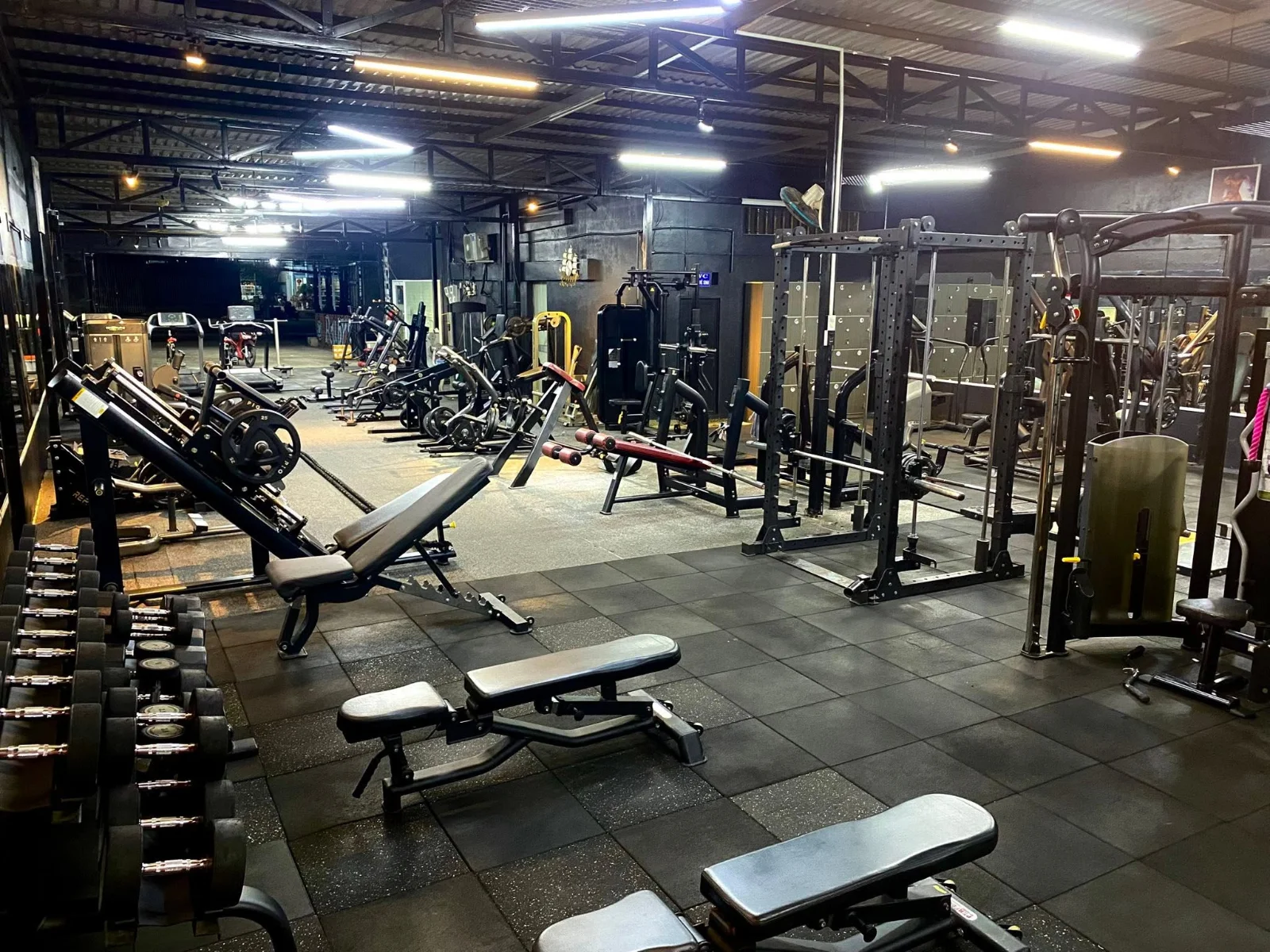 THE STRONG GYM 6