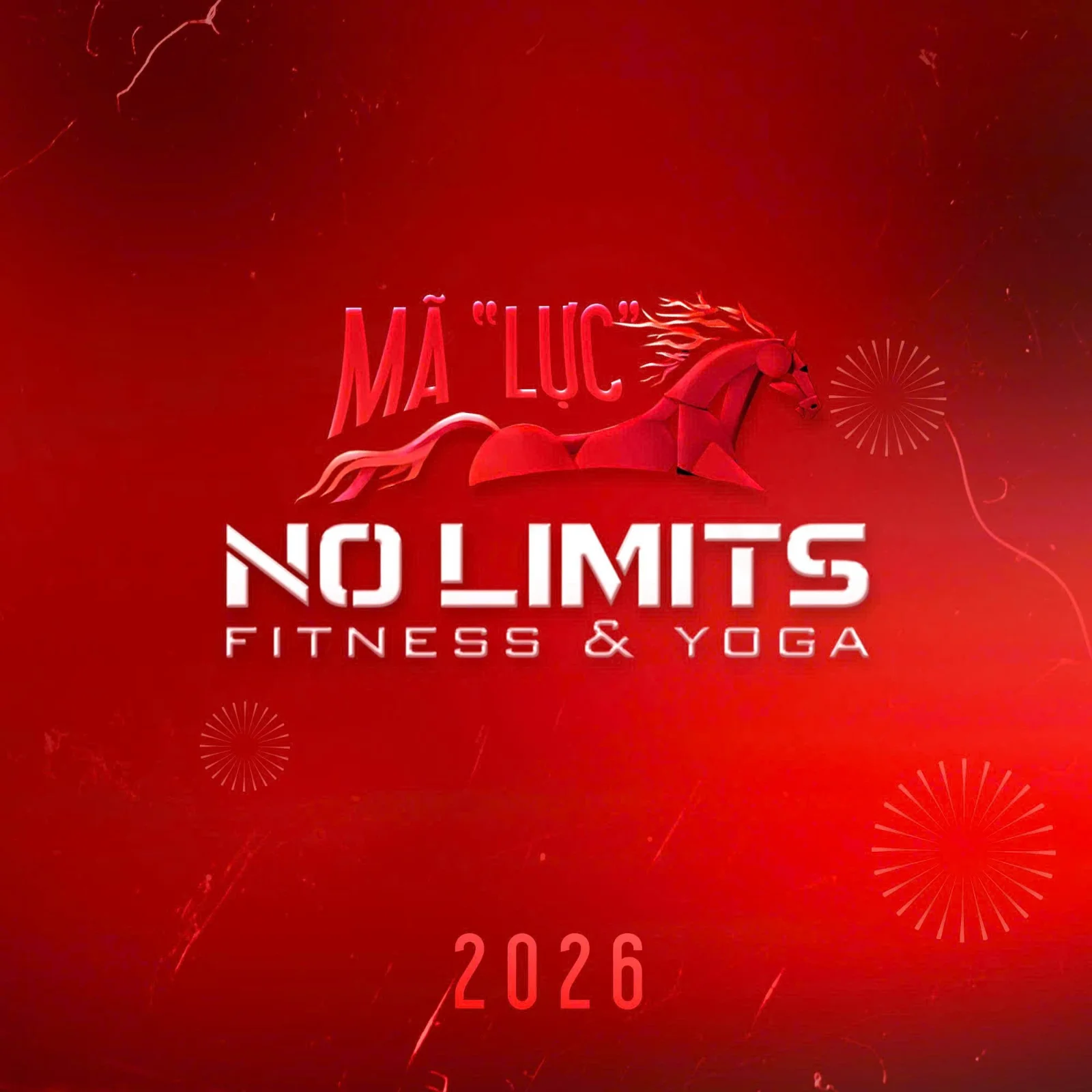 No Limits Fitness & Yoga Center - Ngũ Hành Sơn