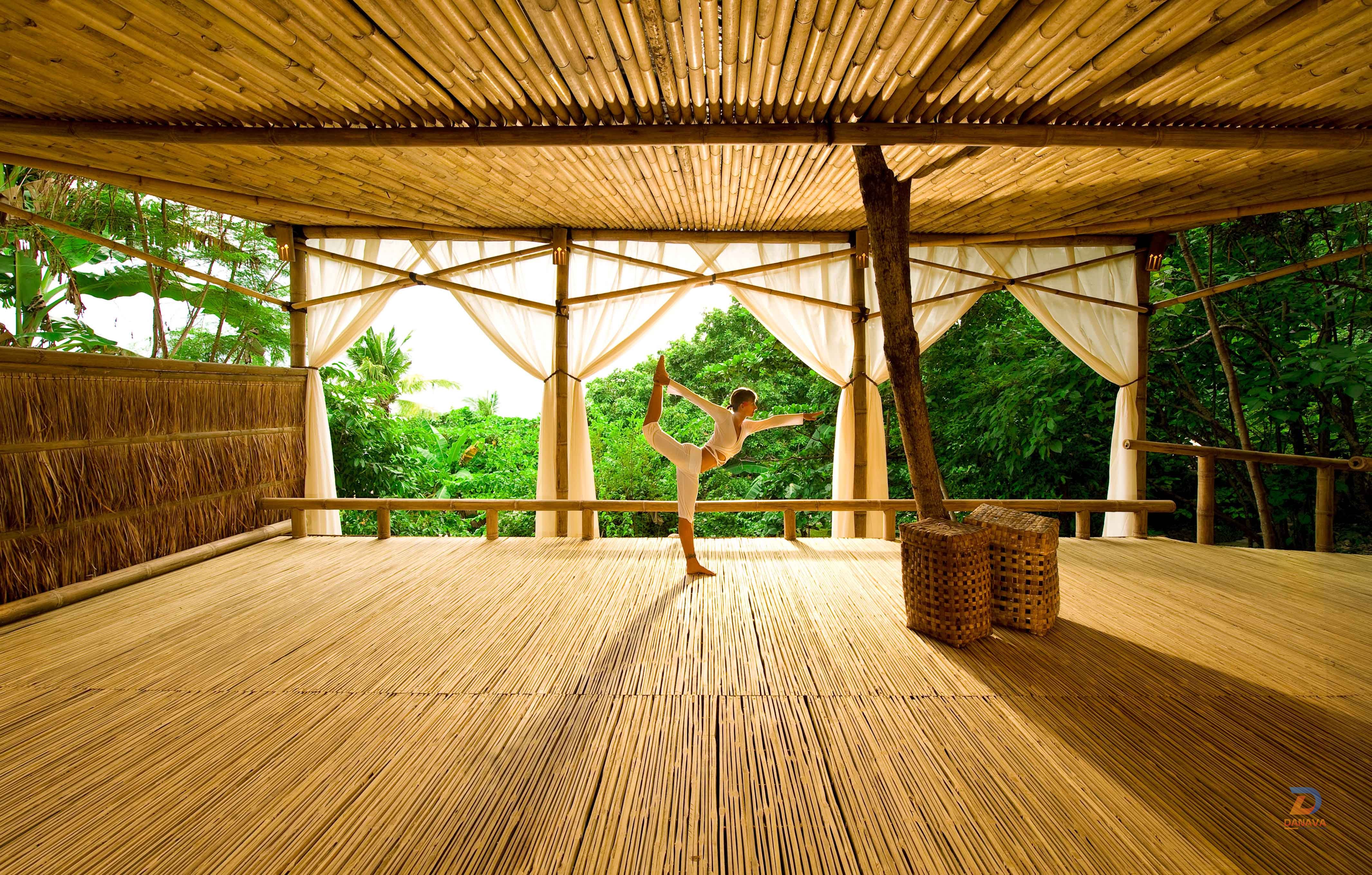 Yoga hòa hợp với thiên nhiên