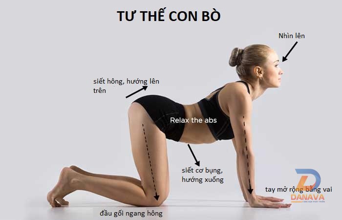 Tư thế Con bò - Con mèo (Cow/Cat Pose): Linh hoạt cột sống