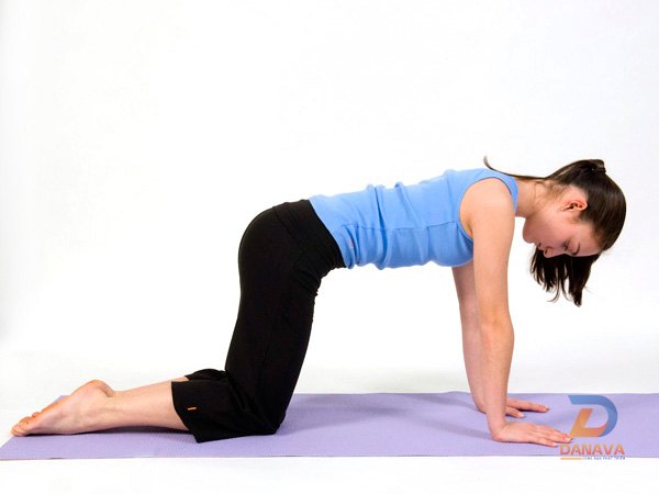 Tư thế Cái bàn (Table Pose): nền tảng cho người mới tập yoga