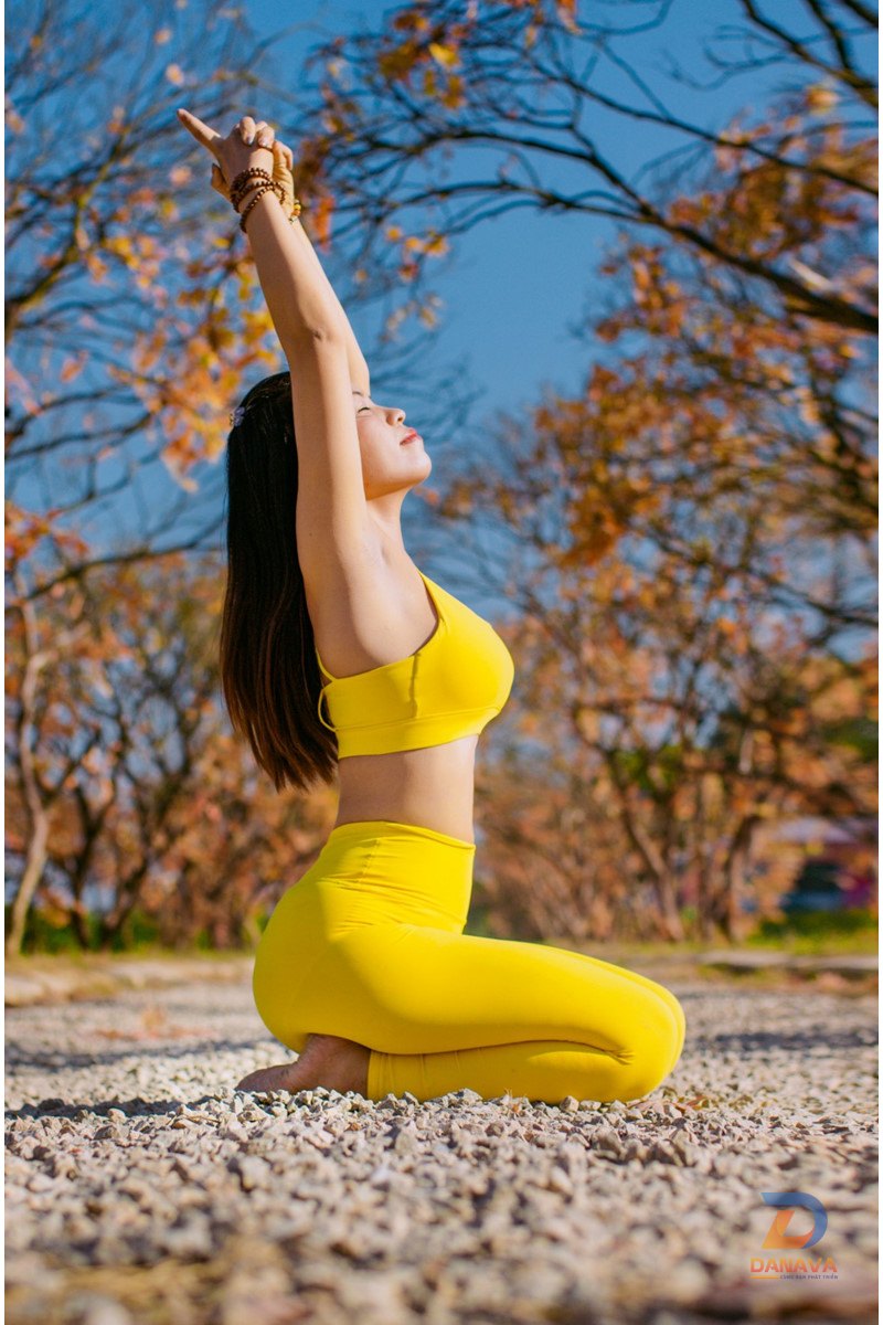 Hoạt động trong khuôn khổ cuộc thi yoga
