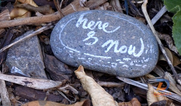 Thiền và giữ gìn chánh niệm trong từng khoảnh khắc cuộc sống