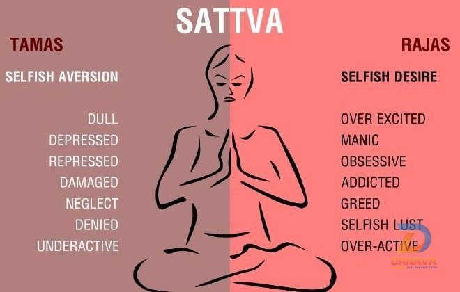Ba tính chất thực phẩm trong yoga: Tamas, Rajas và Sattva