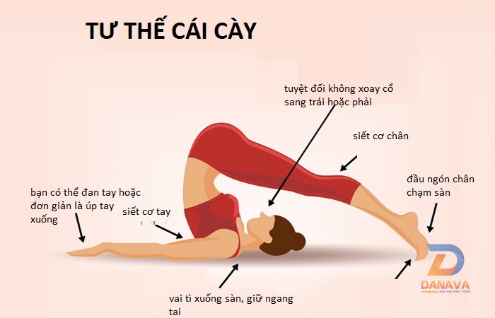 Tư thế Cái cày (Halasana): Hướng dẫn từng bước và lợi ích