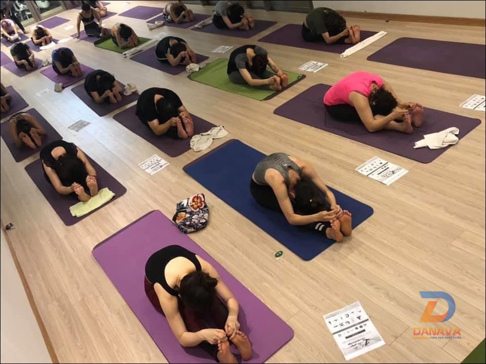 Yoga cho một cuộc sống tràn đầy cảm hứng và tỉnh thức