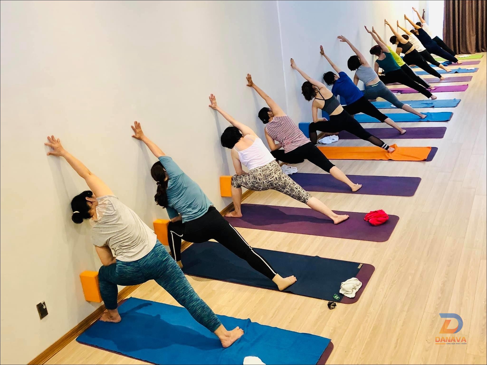 Các kiểu Hatha Yoga