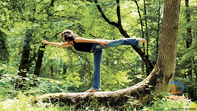 Tập yoga giữa rừng cây