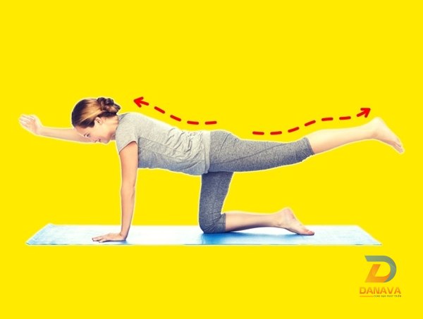 Tư thế Chim hút mật (Sunbird Pose): Rèn thăng bằng, chắc xương