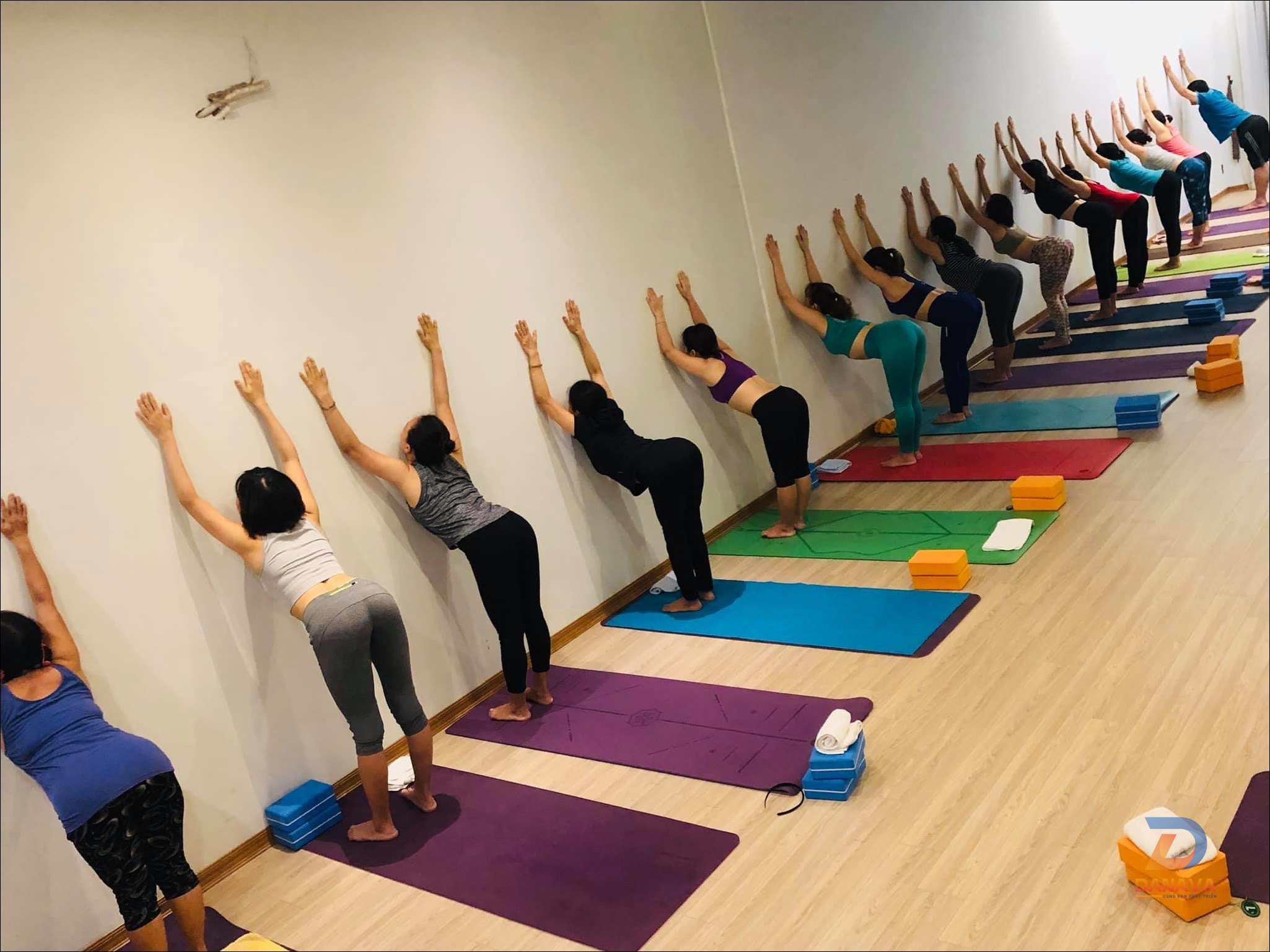 Tập yoga tại nhà mỗi ngày