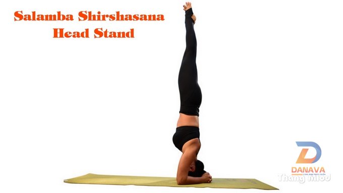 Tư thế Đứng bằng đầu (Shirshasana): Những điều nên biết trước khi tập