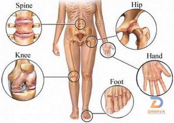 Vận động yoga tác động lên khớp xương