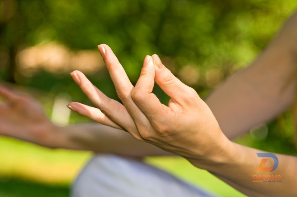 Yoga và thiền đã thay đổi cuộc đời tôi như thế nào